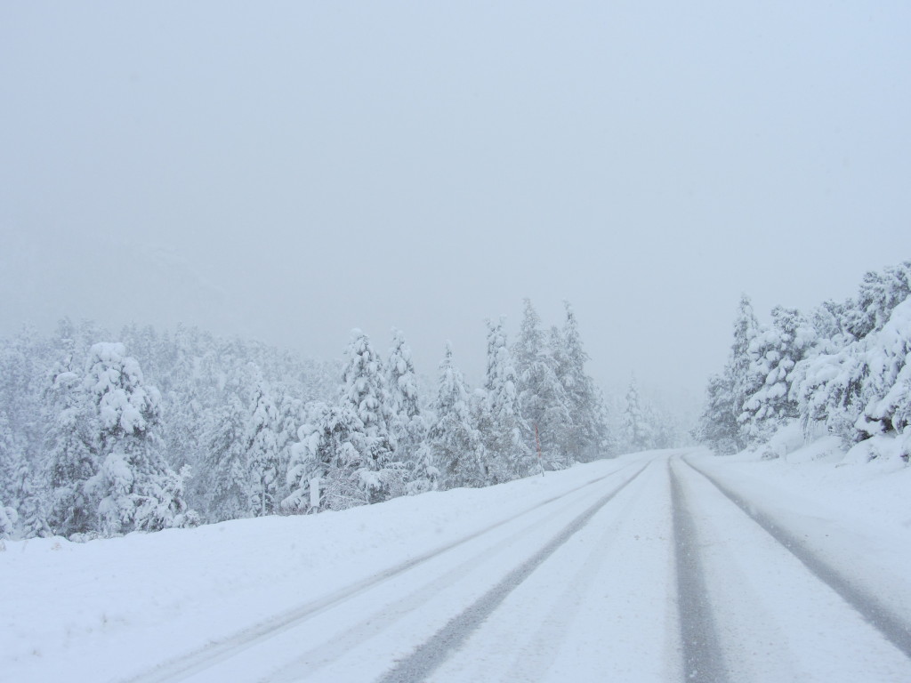 Snow Blankets SR156 Mt. Charleston Weather