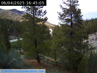 Mt. Charleston Weather Webcam