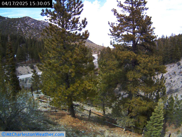 Mt. Charleston Weather Webcam